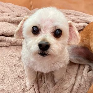 Meet your Posher, Rachael